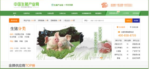 生猪产业网:你是否担心生猪受到禽流感影响?|生猪|产业-食品-川北在线-川北全搜索