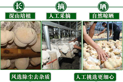东北农产品猴头菇菌菇200g牛皮纸袋装 食用菌干货猴头菇批发